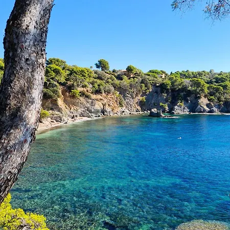 Mistral T3 Pour 4 Personnes Proche De La Capte Apartment